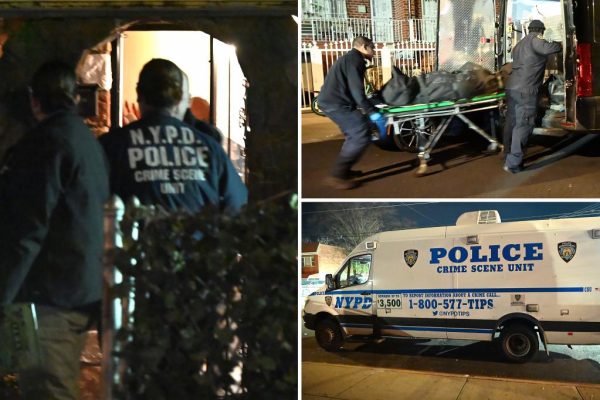 Bronx Homicide Ends in Suicide: Suspect Takes Own Life as Police Close In