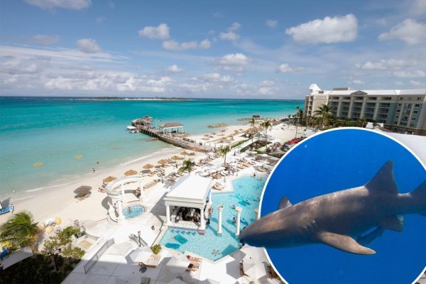 Bahamas Vacation? Think Twice: Crime and Sharks Raise Concerns