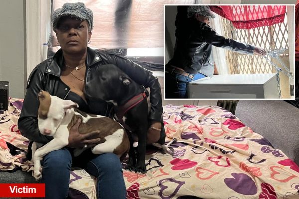 Bronx Woman’s Desperate Fight Against Repeat Home Invasions: A Failure of the Justice System?