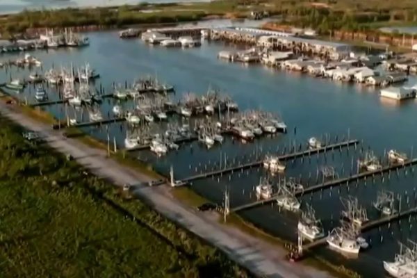 Shrimpers’ Hopes High: Will Trump Tariffs Deliver a Jumbo Payday?