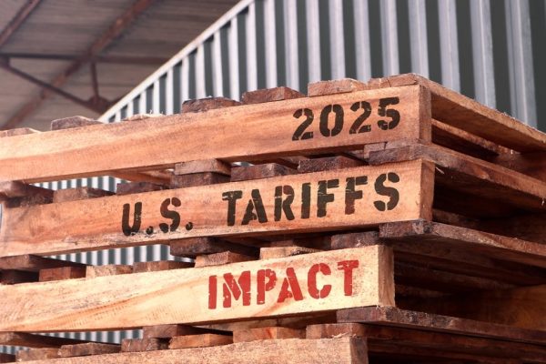 Cathie Wood Bets on Trump’s Tariff Wisdom: A Bold Prediction for the Market?