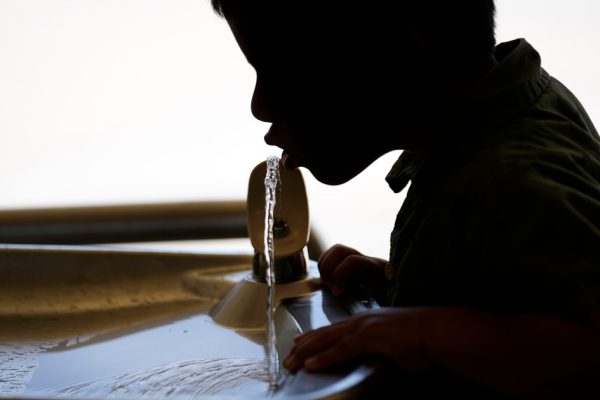 The Fluoride Fight: Politics Trumps Public Health in Florida and Beyond