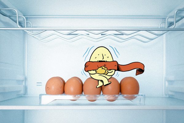 Why You Shouldn’t Leave Eggs Out: An American Egg-splanation