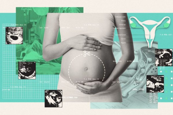 A UK Medical Miracle: First Baby Born After Womb Transplant