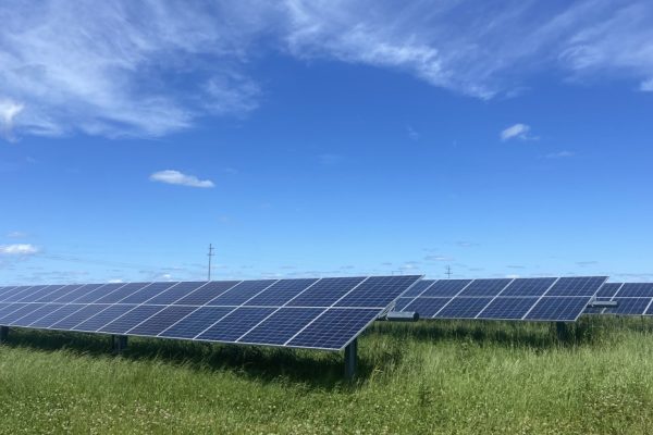 5 Reasons for Climate Optimism: Progress is Being Made!