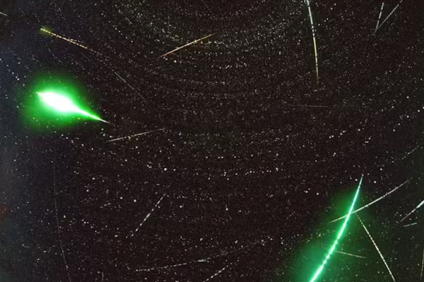 The Great Carbonaceous Chondrite Mystery: Why Are These Water-Rich Meteorites So Rare?