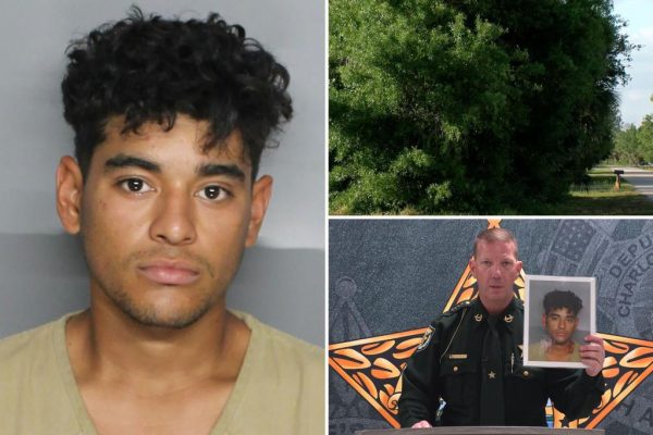 The Unacceptable Consequence of Lax Immigration Policies: A Florida Tragedy