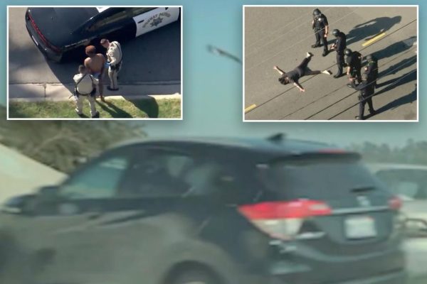 Weezer Bassist’s Wife Arrested After Wild LA Hit-and-Run Caught on Camera