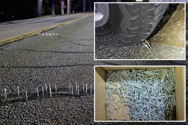 Nail-Bitting Mystery on Cape Cod: Hundreds of Spiked Traps Found on Roads