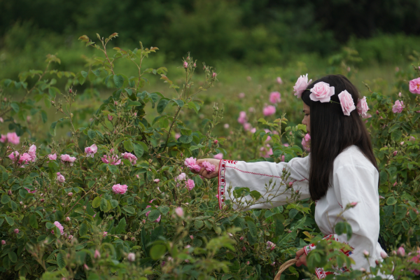Bulgaria’s Hidden Gems: Thermal Springs, Ancient Tombs, and the Rose Valley