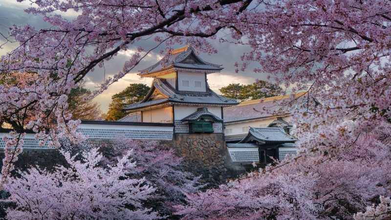 Journey Through Tranquility: Discovering Japan’s Three Greatest Gardens