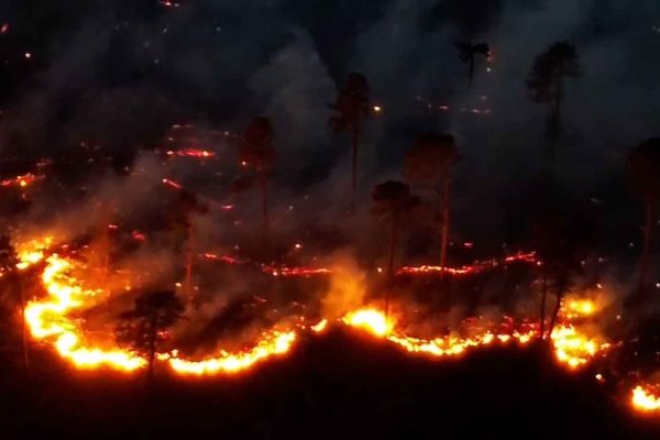 Drone Footage Reveals Pennsylvania Wildfires’ Fury