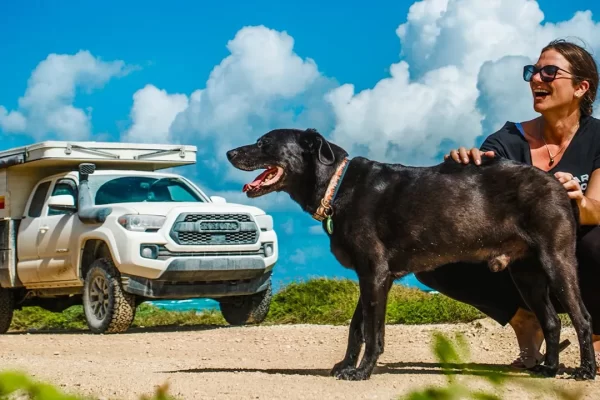 From House to Highway: One Woman’s Journey of Grief, Healing, and Adventure