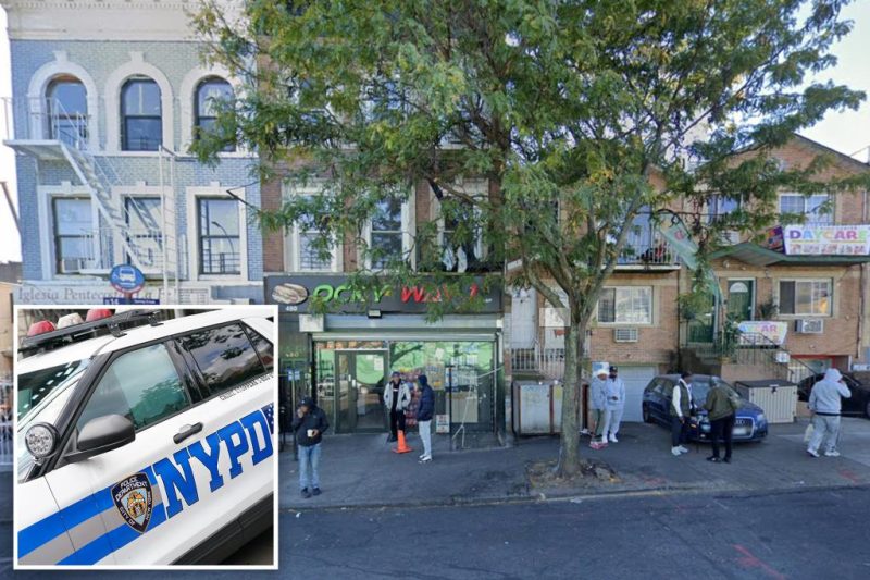 Brooklyn Mom’s Terrifying Ordeal: Carjacker Steals SUV with Toddler Inside
