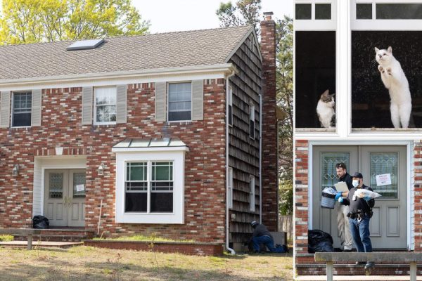 Long Island Horror: Hundreds of Dead Cats Found in Home