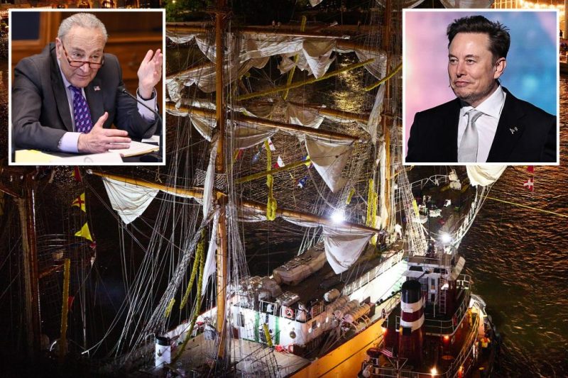 Schumer’s Dogecoin Theory: A Bridge Too Far?