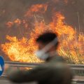 Israel Battles Devastating Wildfires: International Aid Rushes In