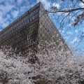 Smithsonian Museum Row Back on Loaned Artifacts Sparks Controversy