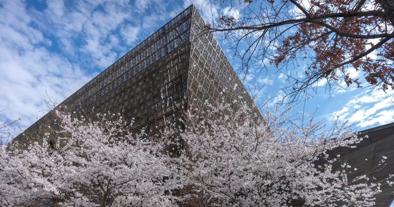 Smithsonian Museum Row Back on Loaned Artifacts Sparks Controversy