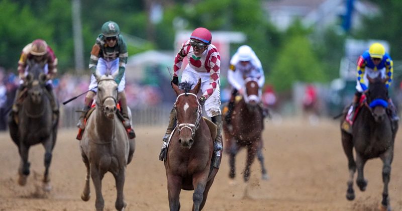 Journalism’s Preakness Triumph: A Stunning Comeback Story