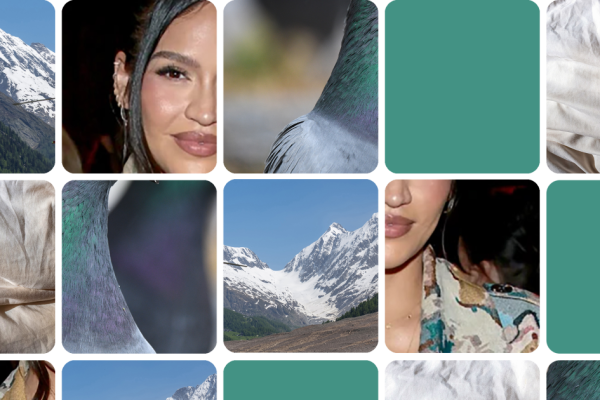 This Week in News: Musk’s Exit, Pardons, and a Swiss Village’s Demise!