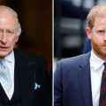 The Unlikely Bridge: Will King Charles and Prince Harry Ever Reconcile?