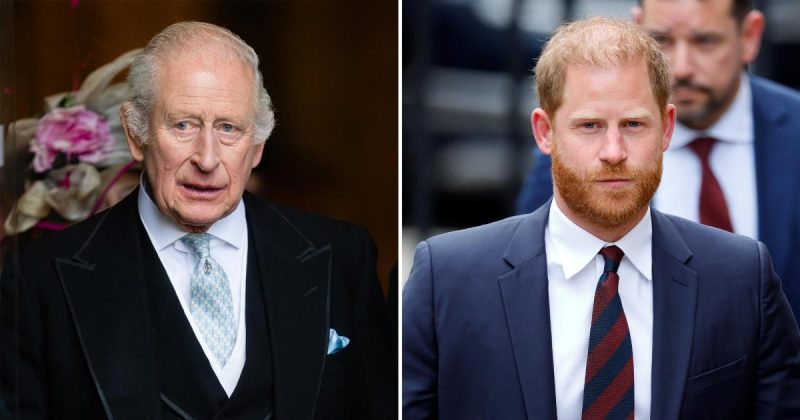 The Unlikely Bridge: Will King Charles and Prince Harry Ever Reconcile?