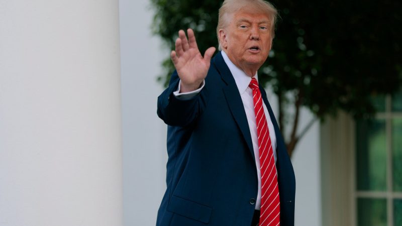 Trump’s Unexpected Nod to Putin’s Ukraine Peace Proposal: A Calculated Move or Genuine Shift?