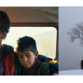 SEEfest LA 2023: Big Winners and a Celebration of Southeastern European Cinema
