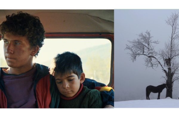 SEEfest LA 2023: Big Winners and a Celebration of Southeastern European Cinema