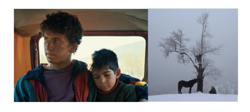 SEEfest LA 2023: Big Winners and a Celebration of Southeastern European Cinema