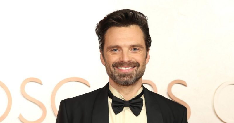 From Gossip Girl to the MCU: Sebastian Stan’s Unbelievable Rise to Fame