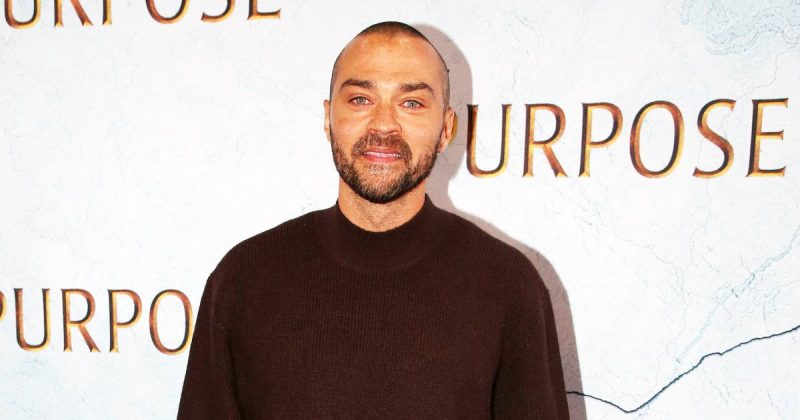 Jesse Williams and Aryn Drake-Lee: Another Chapter in a Lengthy Custody Battle