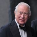 Royal Smile: King Charles Shines Despite Harry’s Shadow