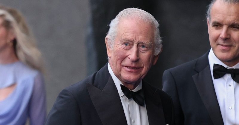 Royal Smile: King Charles Shines Despite Harry’s Shadow