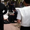 Cannes Palm Tree Plunge: Producer Seriously Injured on Croisette