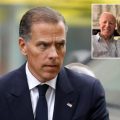 Hunter Biden’s Unassuming South African Appearance