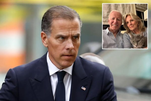 Hunter Biden’s Unassuming South African Appearance