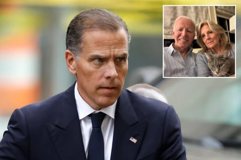 Hunter Biden’s Unassuming South African Appearance