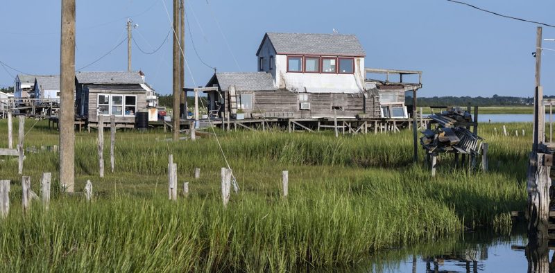 America’s Climate Adaptation Crisis: Science Under Fire as Fossil Fuels Rise