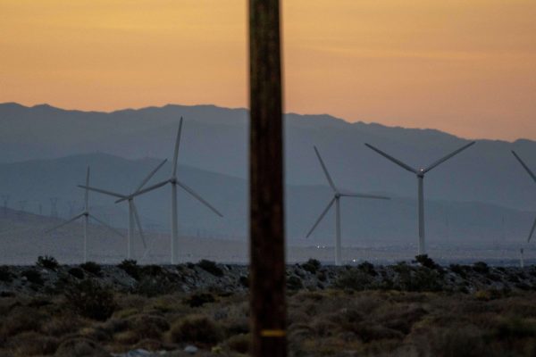 States Accuse Trump of Attacking Wind Energy: A Legal Showdown Brewing