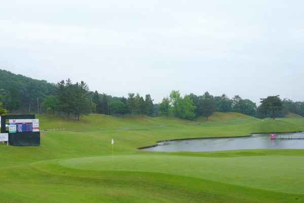 A Bear, a Golf Tournament, and a Very Surprised Winner in Japan!