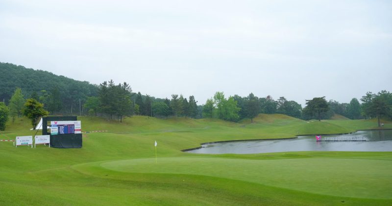A Bear, a Golf Tournament, and a Very Surprised Winner in Japan!