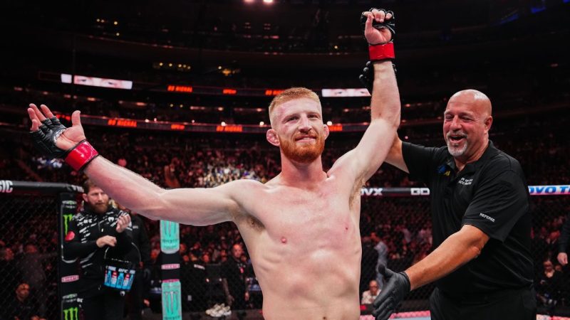 The Untamed 12: MMA’s Unbeaten Elite