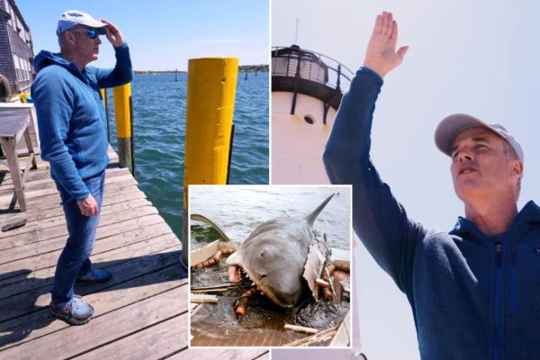 Swimming with Jaws: Endurance Swimmer Takes on Martha’s Vineyard to Change Shark Perception