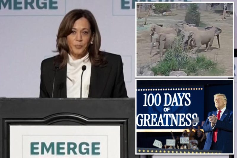 Kamala Harris’s Unexpected Elephant in the Room: A Strange Dig at Trump