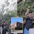Graduation Day Disaster: Falling Tree Injures Dozen at Diablo Valley College Ceremony