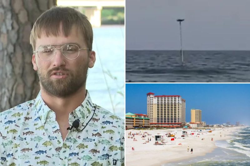 Drone Saves the Day: Shark Hunter’s Quick Thinking Rescues Drowning Girl