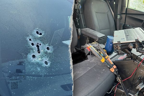 Florida Man’s Wild Encounter: Alligator Attack, Garden Shears, and a Deputy-Involved Shooting