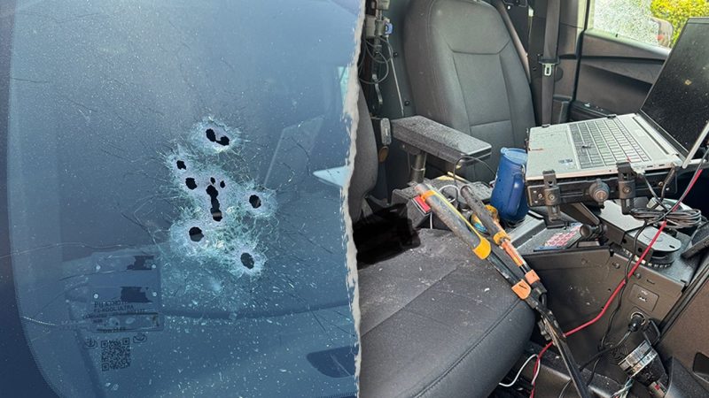 Florida Man’s Wild Encounter: Alligator Attack, Garden Shears, and a Deputy-Involved Shooting
